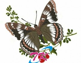 Mẫu Thêu trang trí
