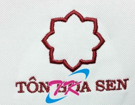 Mau-Theu-logo-Vi-Tinh-Theu-Vi-Tinh-Thien-Khiem-33.jpg